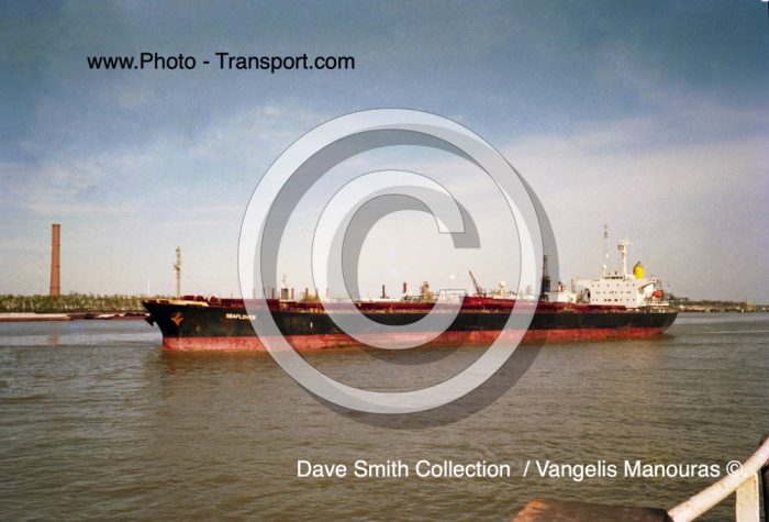 SEAFLOWER  - Bulker