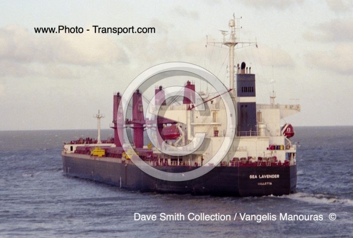 SEA LAVENDER  -  Bulker