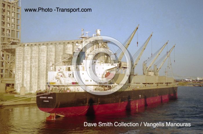 OCEANIC ANGEL - Bulker