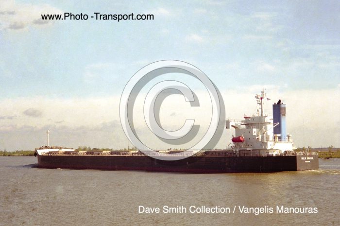 BULK BRASIL - Bulker