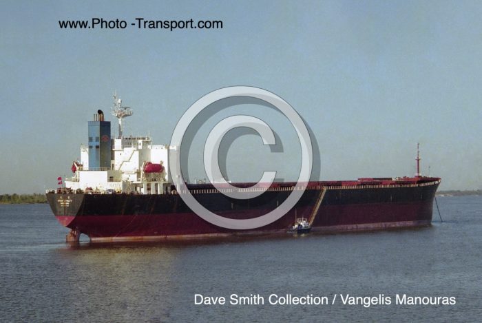GREAT LOYALTY  -  Bulker