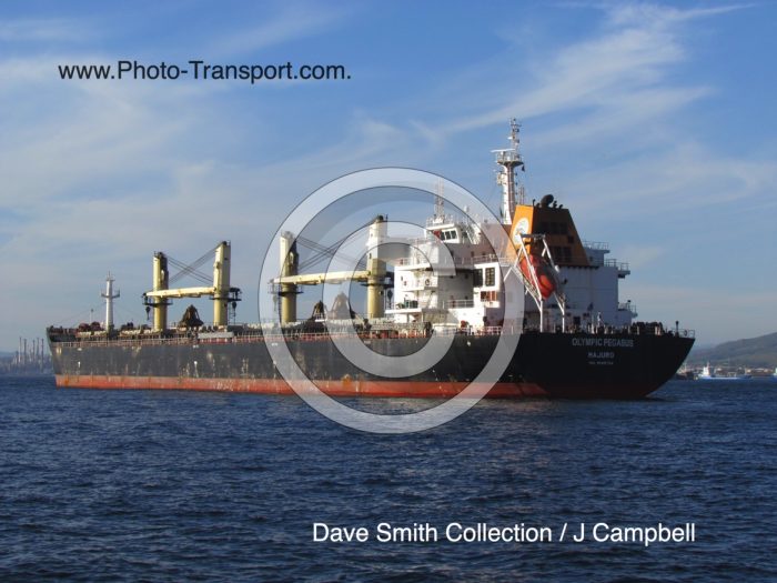 OLYMPIC PEGASUS - Bulk Carrier