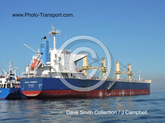 BULK PHOENIX   -  Bulk Carrier