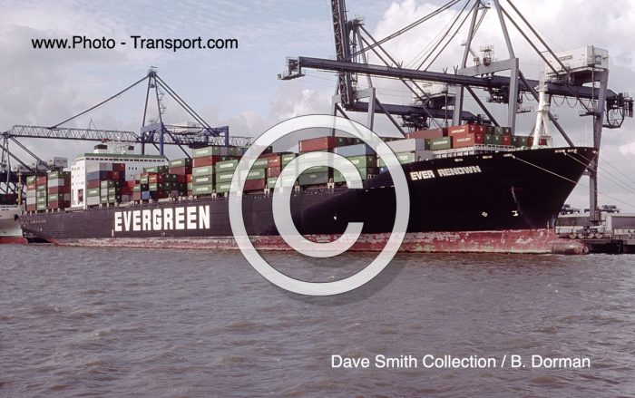 EVER RENOWN - Container