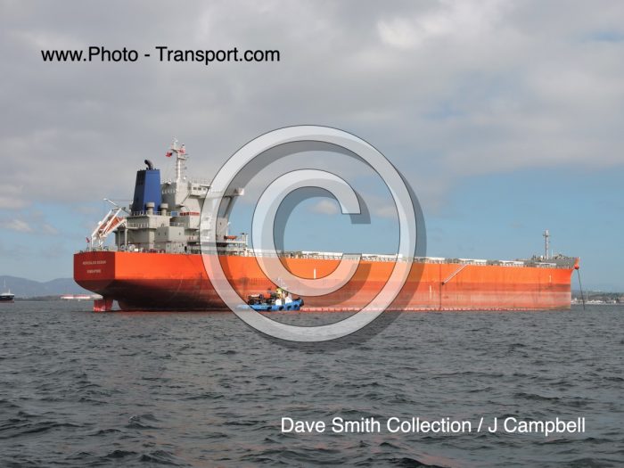 HERCULES OCEAN - Bulk Carrier