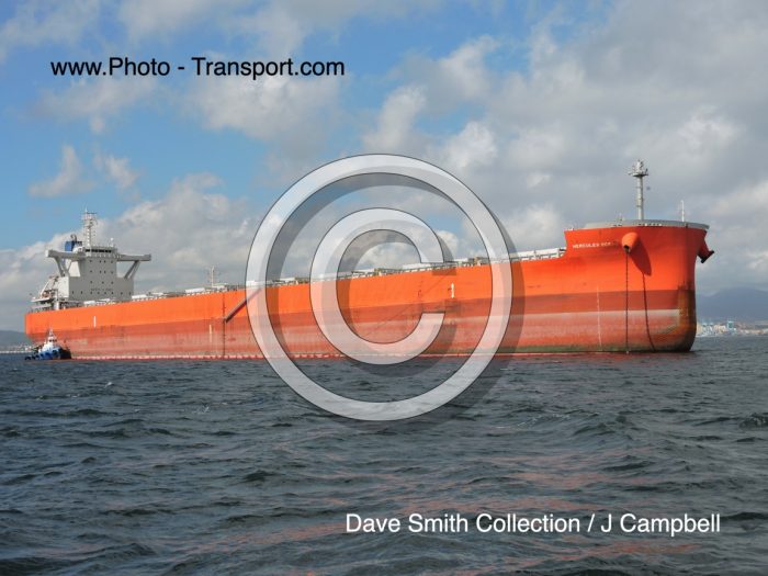HERCULES OCEAN - Bulk Carrier