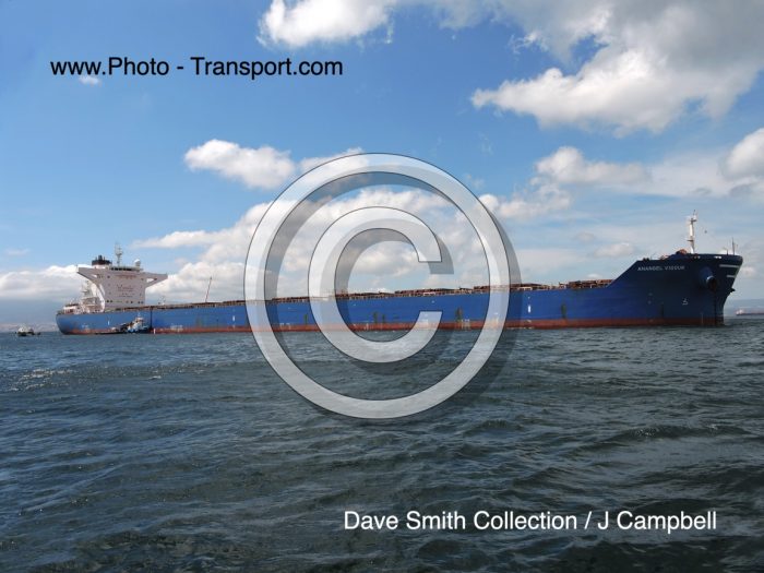 ANANGEL VIGOUR - Bulk Carrier