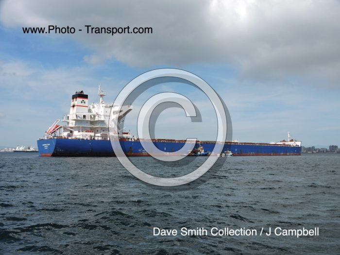 ANANGEL VIGOUR - Bulk Carrier