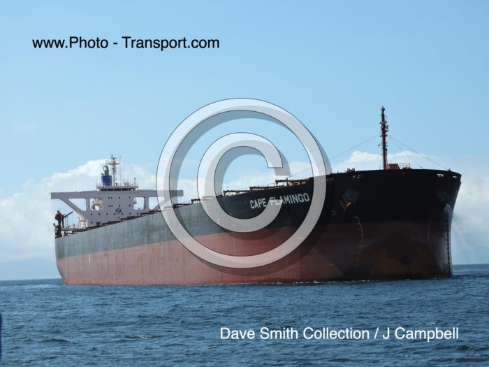 CAPE FLAMINGO - Bulk Carrier
