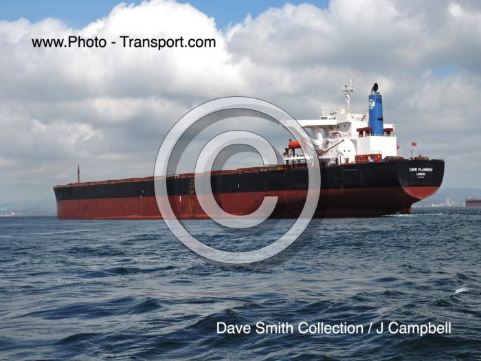 CAPE FLAMINGO - Bulk Carrier