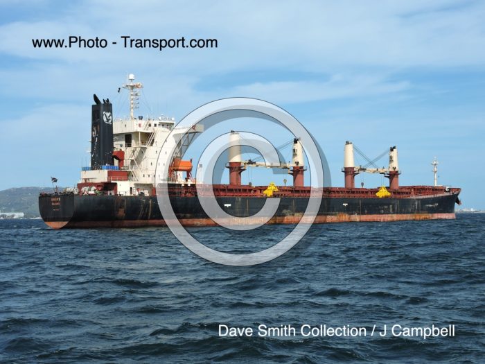 SHRIKE - Bulk Carrier