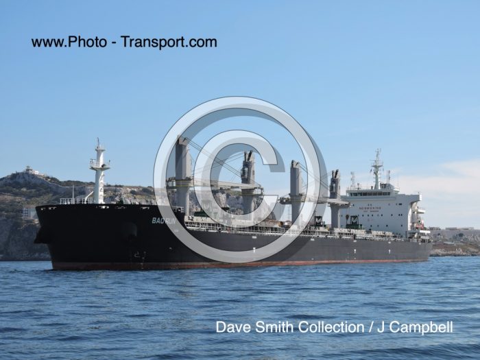 BAO RUN - Bulk Carrier