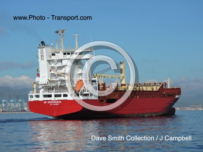 BF ESPERANZA - Container