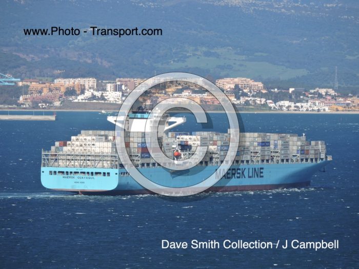 MAERSK GUAYAGUIL - Container