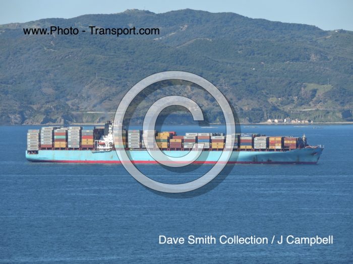 MSC KINGSTON - Container