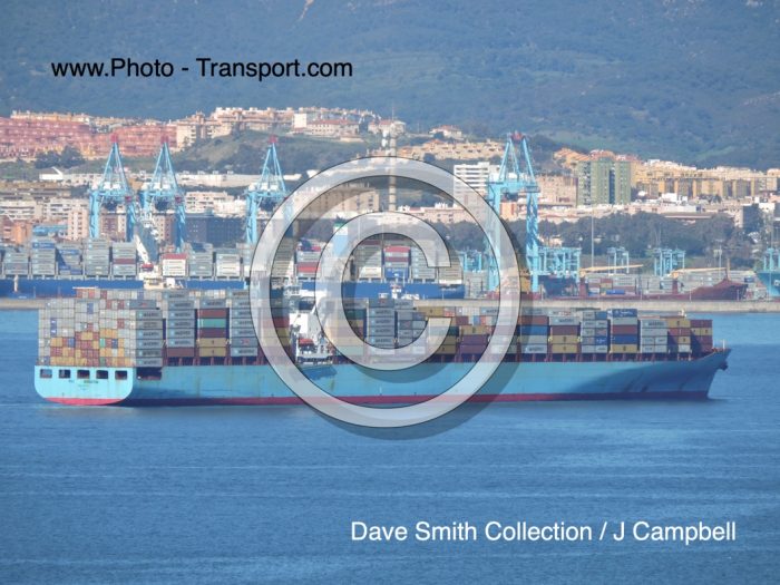 MSC KINGSTON - Container