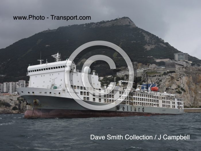 OCEAN SWAGMAN - Livestock Carrier