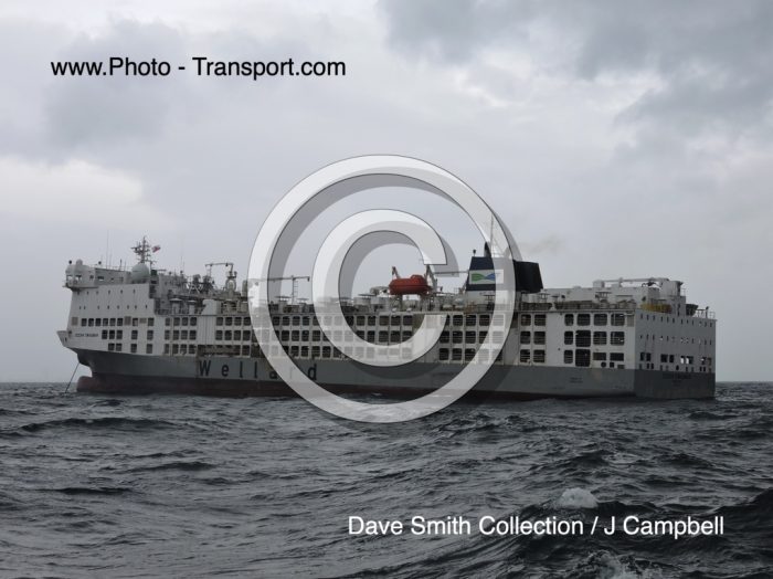 OCEAN SWAGMAN - Livestock Carrier