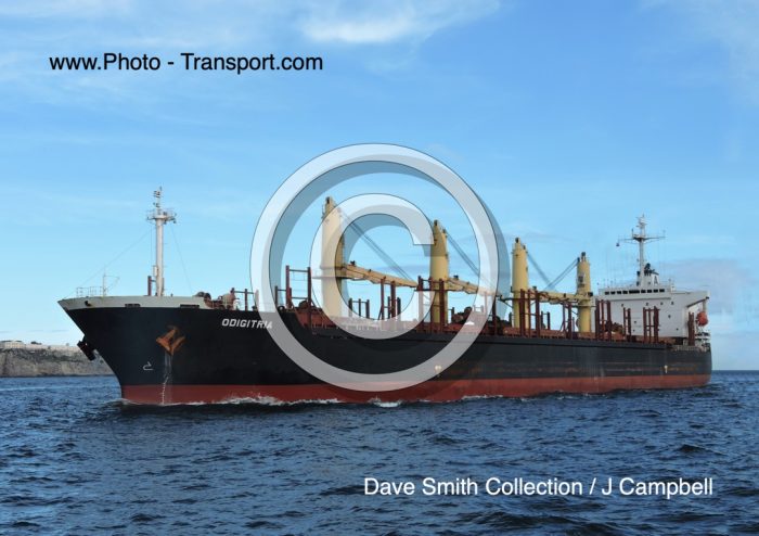 ODIGITRIA - Bulk Carrier
