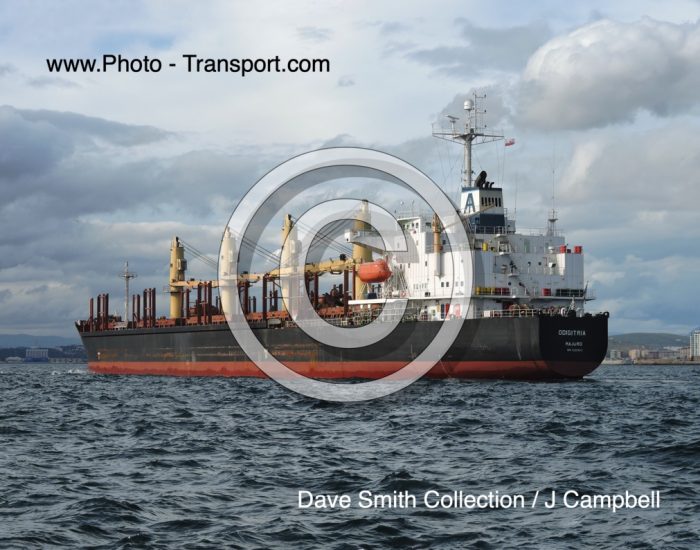 ODIGITRIA - Bulk Carrier