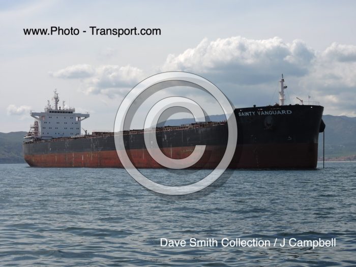 SAINTY VANGUARD - Bulk Carrier