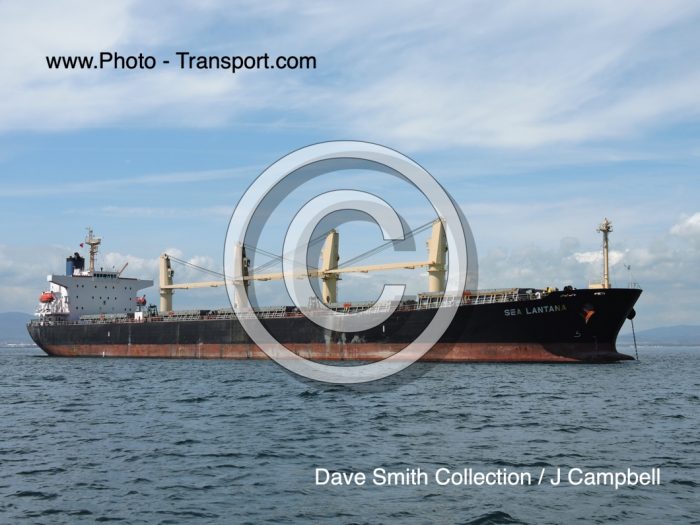 SEA LANTANA - Bulk Carrier