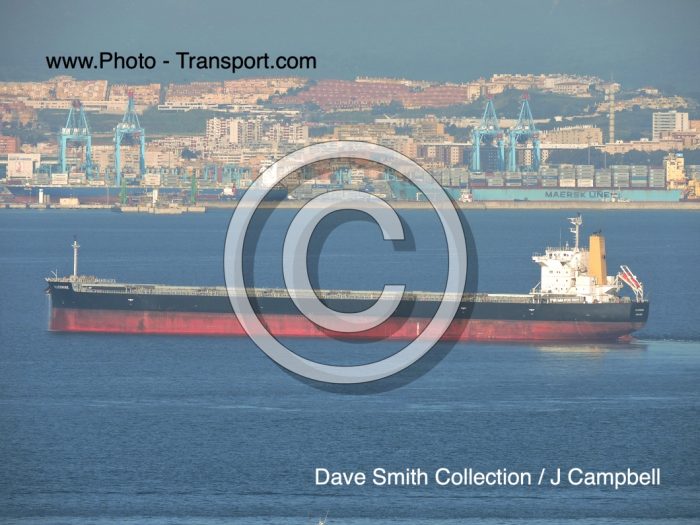 SILVERMINE  - Bulk Carrier