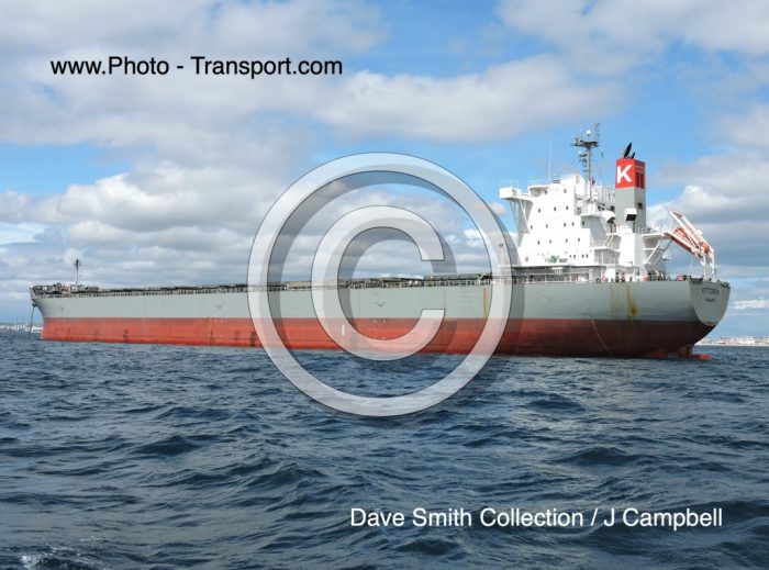 VITTORIA - Bulk Carrier