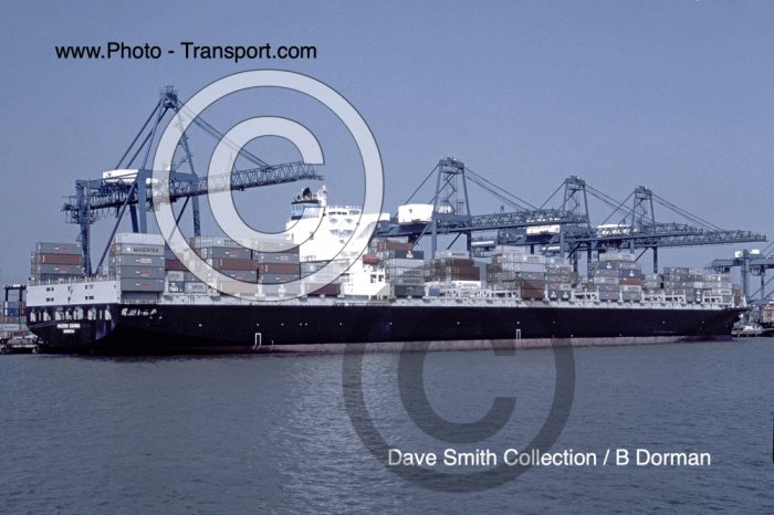 MAERSK SARNIA - Ex P & O Nedlloyd Michelangelo - Container