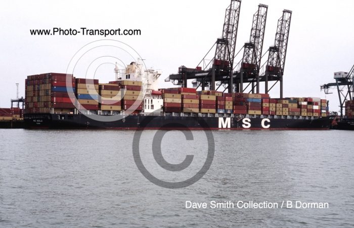MSC ANIELLO  - Container