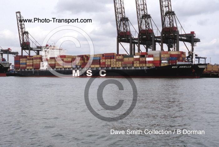 MSC ANIELLO  - Container