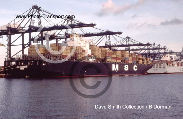 MSC MADELEINE  - Container