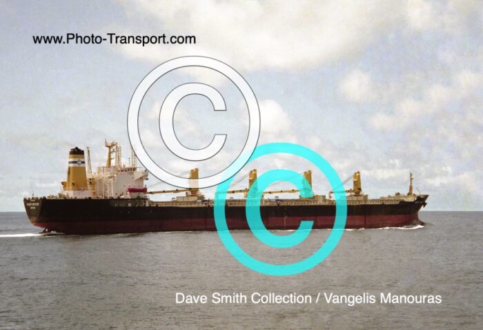 DESERT VOYAGER - Bulk Carrier