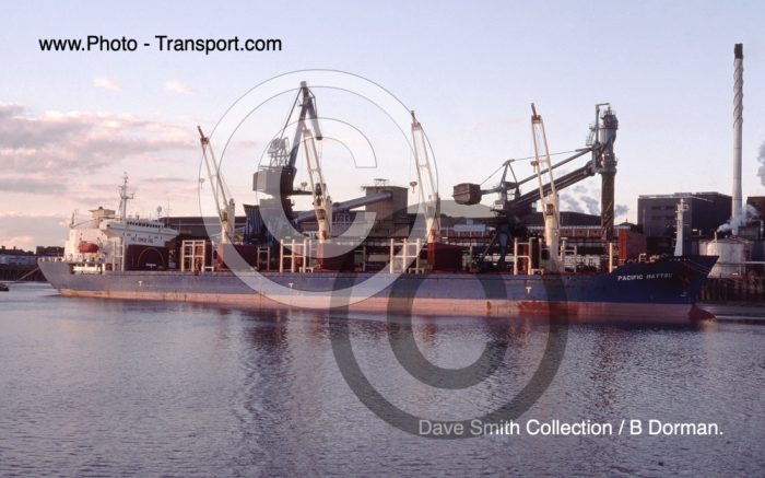 PACIFIC MATTSU - Bulk Carrier