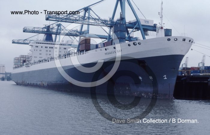 PEGASUS BAY - Container