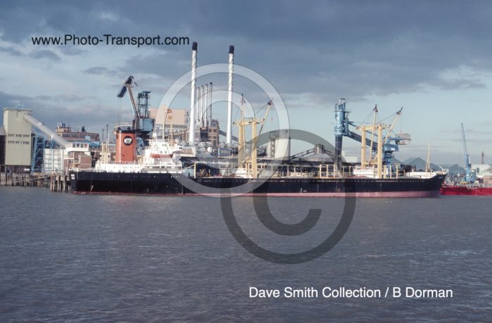 RENESSI - Bulk Carrier