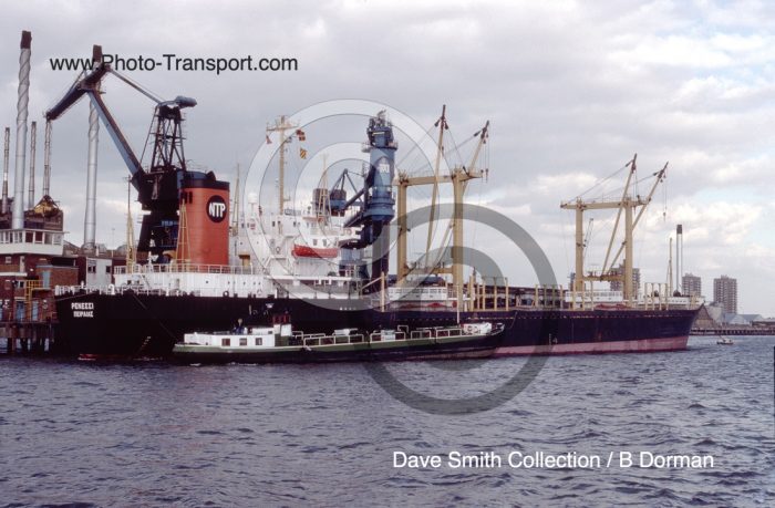 RENESSI - Bulk Carrier
