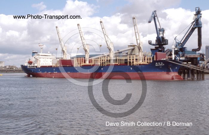 SEA BAILO - Bulk Carrier