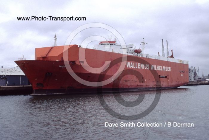 TAGUS - Vehicle Carrier