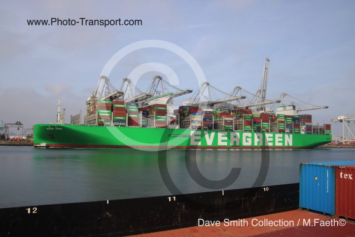 EVER ARM - Container