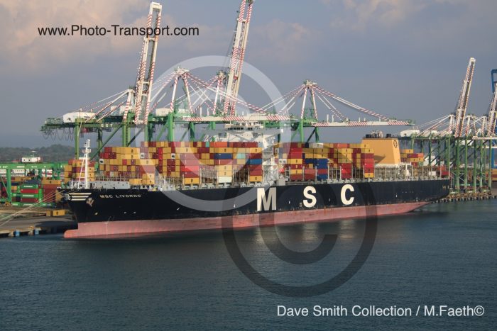 MSC LIVORNO  - Container