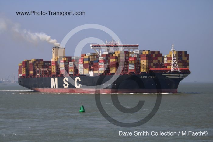 MSC REEF  - Container