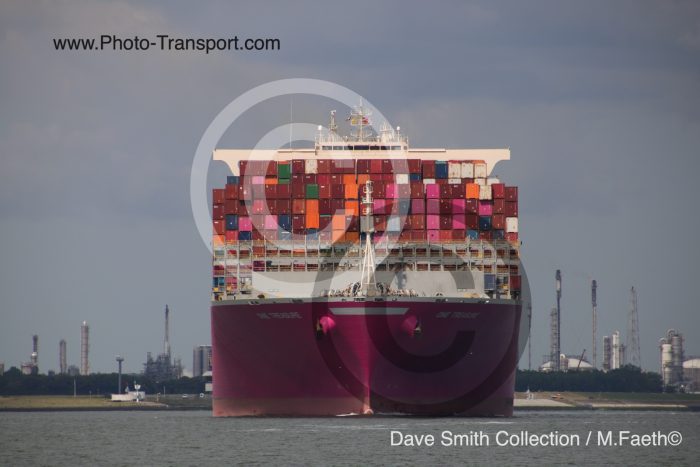 ONE TREASURE - Container