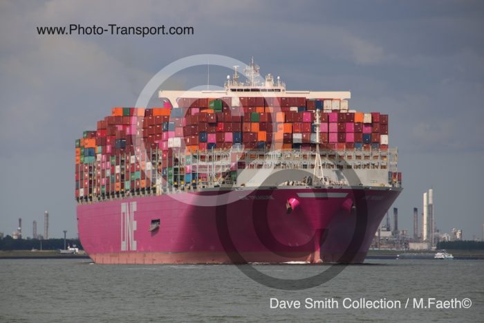 ONE TREASURE - Container