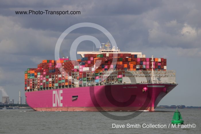 ONE TREASURE - Container