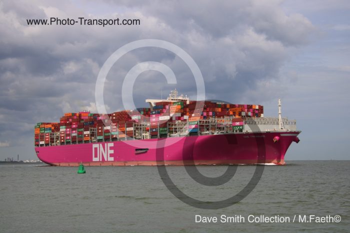 ONE TREASURE - Container