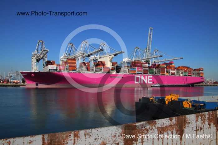 ONE TRIBUTE - Container