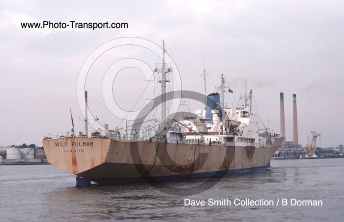 WILD FULMAR - Reefer