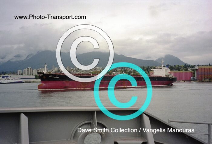 GREAT INTELLIGENCE  - Bulk Carrier