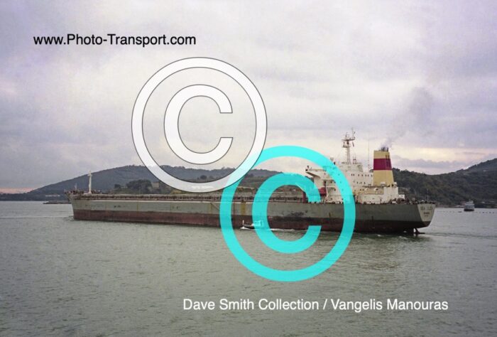 SEA ILEX  - Bulk Carrier